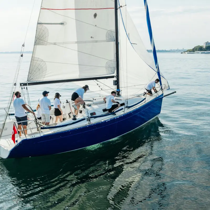 Crew sails a blue yacht across calm water, adjusting white sails in bright daylight; a peaceful, focused scene with a distant shoreline.